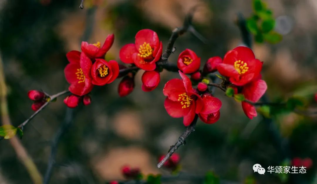 1663123225101804.jpg 微信圖片_20220914103710.jpg