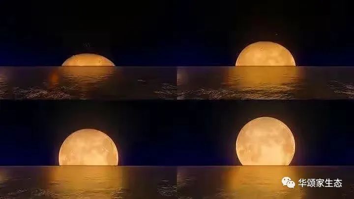 1665823839662517.jpg 微信圖片_20221015164500.jpg